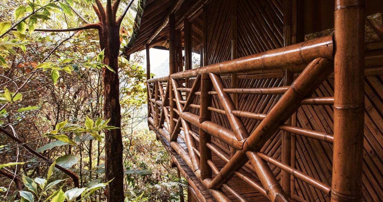 Hotel Guatape Adrianas Bambu Eksteriør bilde
