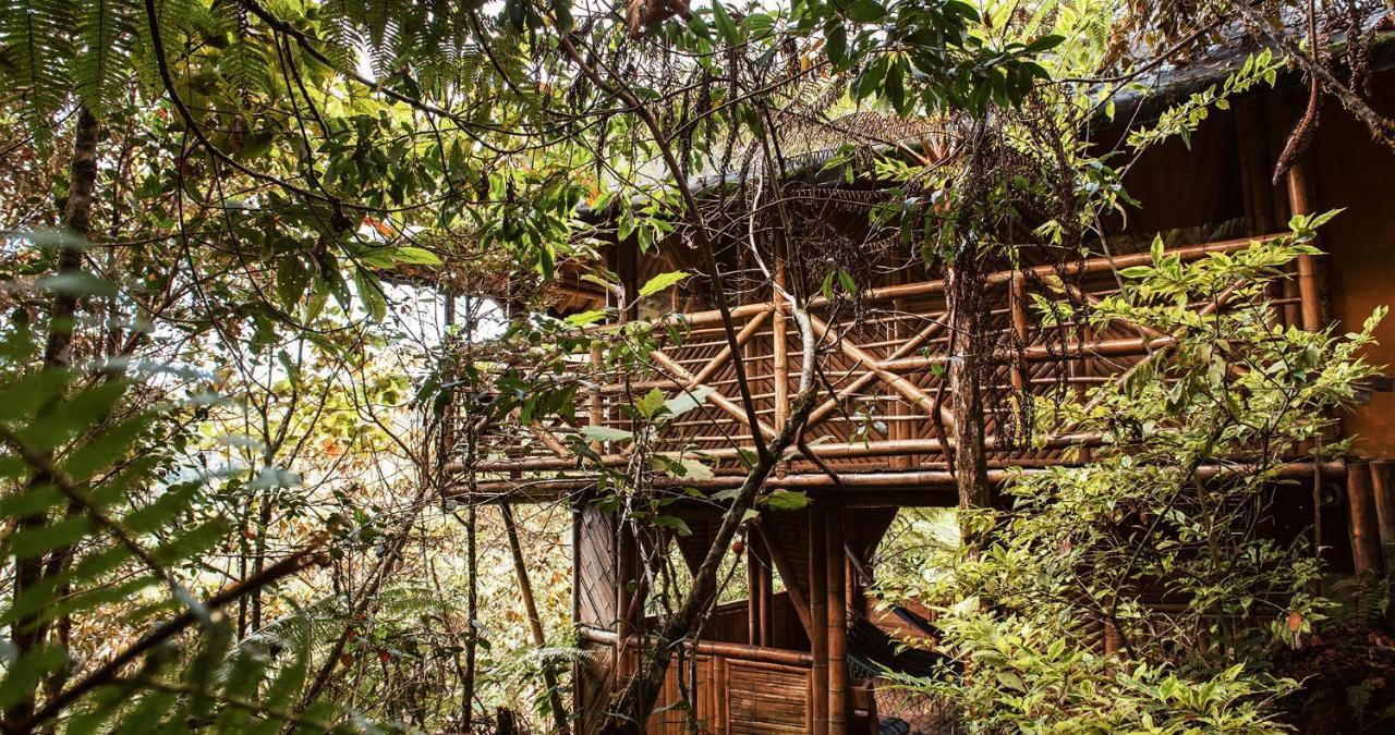 Hotel Guatape Adrianas Bambu Eksteriør bilde