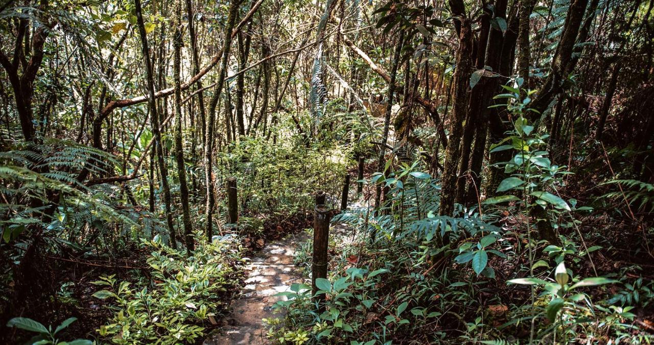 Hotel Guatape Adrianas Bambu Eksteriør bilde