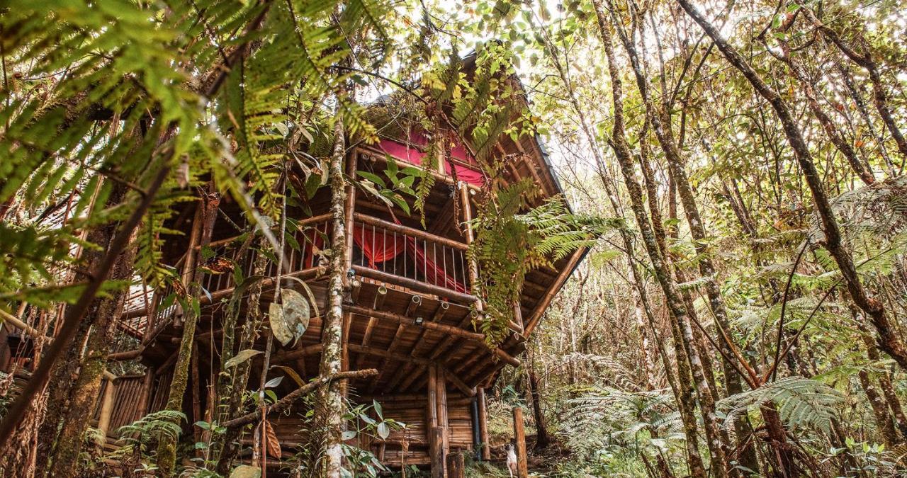 Hotel Guatape Adrianas Bambu Eksteriør bilde