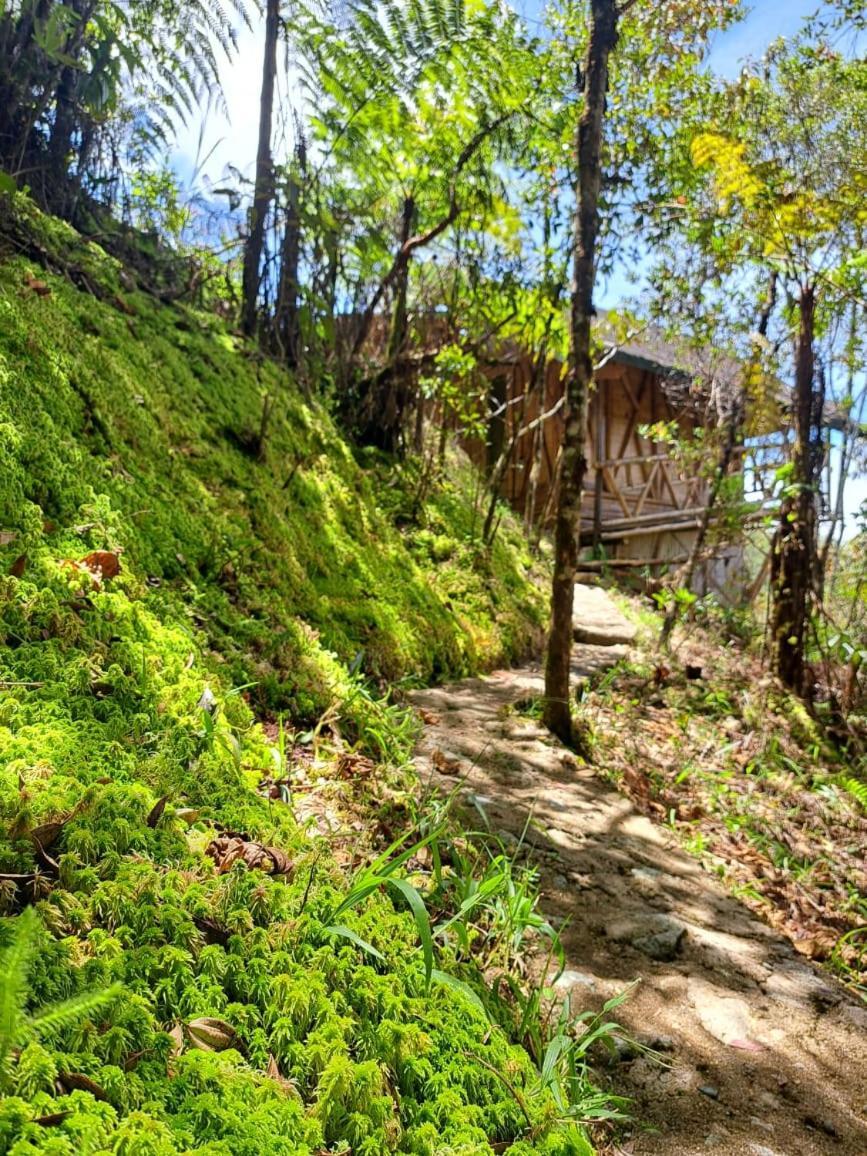 Hotel Guatape Adrianas Bambu Eksteriør bilde